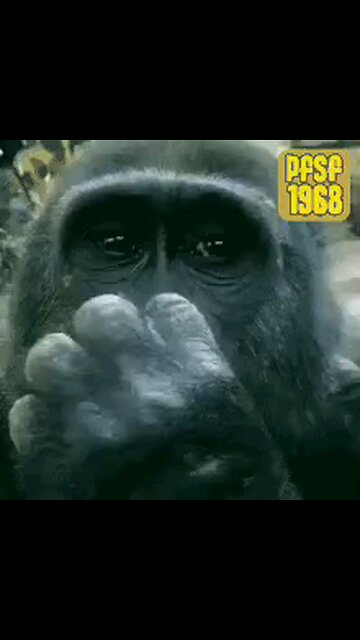 BIDEN CONTEMPLATES NATIONAL SECURITY