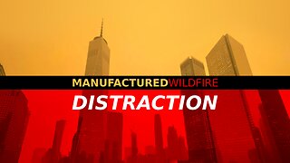 WILDFIRE - DISTRACTION