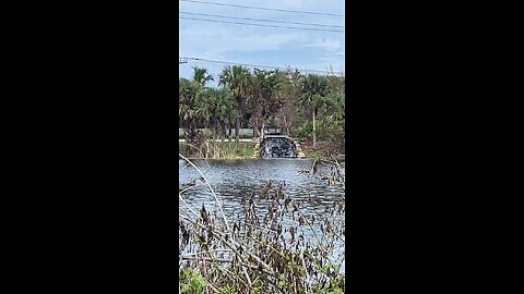 Waterfall at Freedom Park #Waterfall #Naples #FreedomPark #LiveStream #TikTok #tiktoklive
