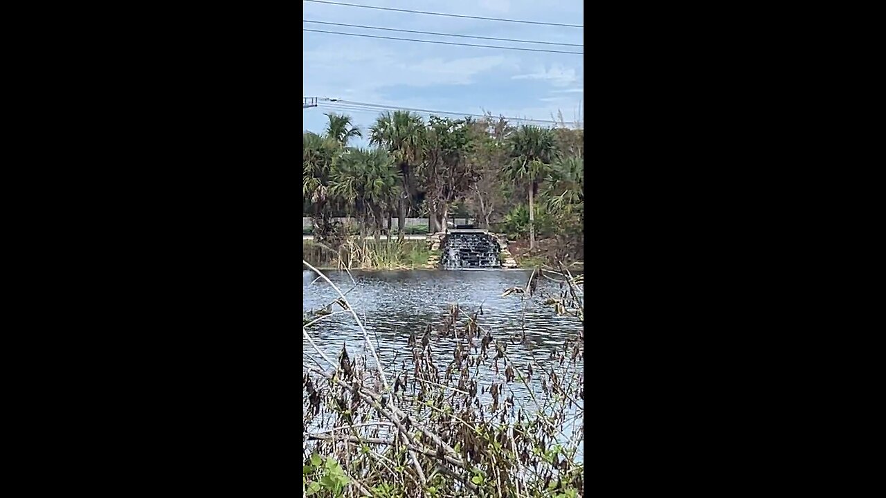 Waterfall at Freedom Park #Waterfall #Naples #FreedomPark #LiveStream #TikTok #tiktoklive