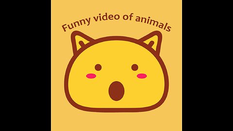 Funny Cats