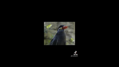 Nature Photography | Part 1