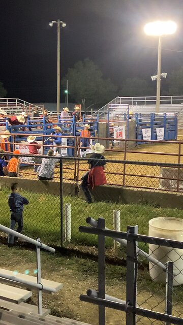 Bull Riding at Rodeo