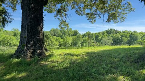 .6 Mile Perimeter Hike 🥾