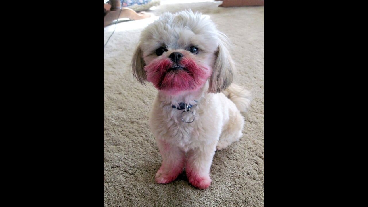 Was someone playing with lipstick