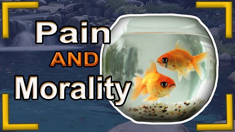 do fish feel pain ?