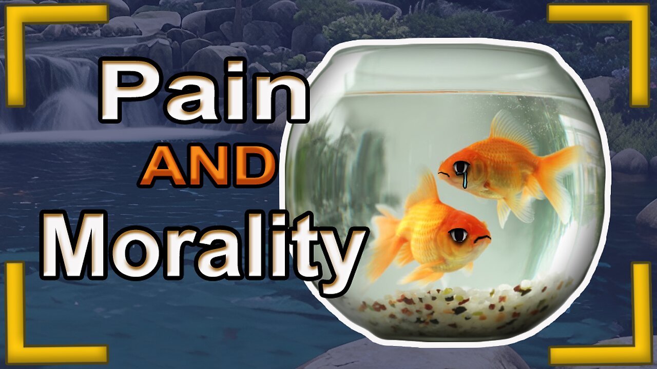 do fish feel pain ?