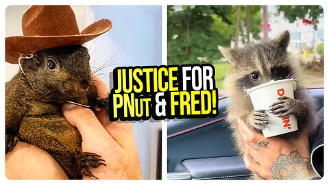 Justice for PNut & Fred! Trump to Meet with Owners! Kamala BREAKS FCC LAW! This is the TURNING POINT