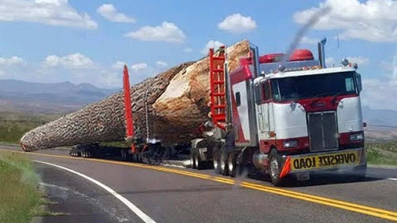 Operator Truk Kayu Cerdas Berbahaya