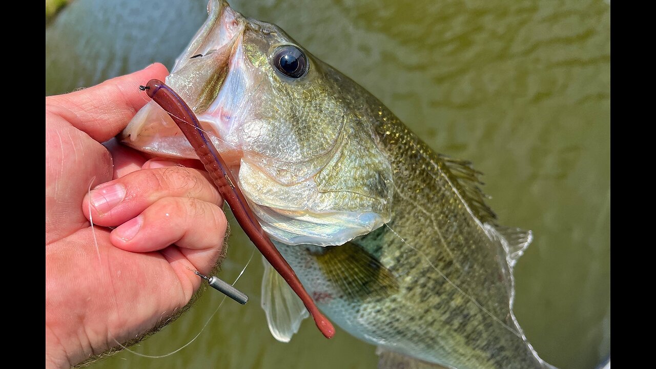 These 360-Degree Fishing Rod Holders Will Fit Any Rod—And They’re Just $18 Right Now