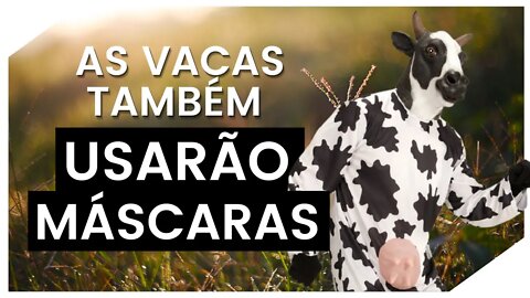 Se as vacas não mudarem, a "vaca" VAI PRO BREJO | MinhoLab