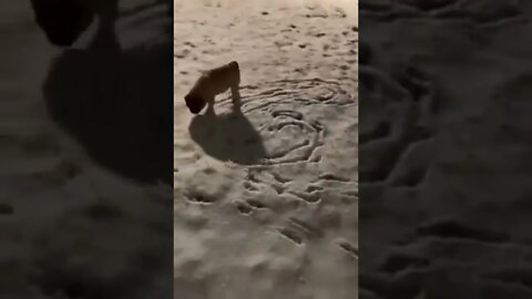 Wait! what 🤣🤣🤣