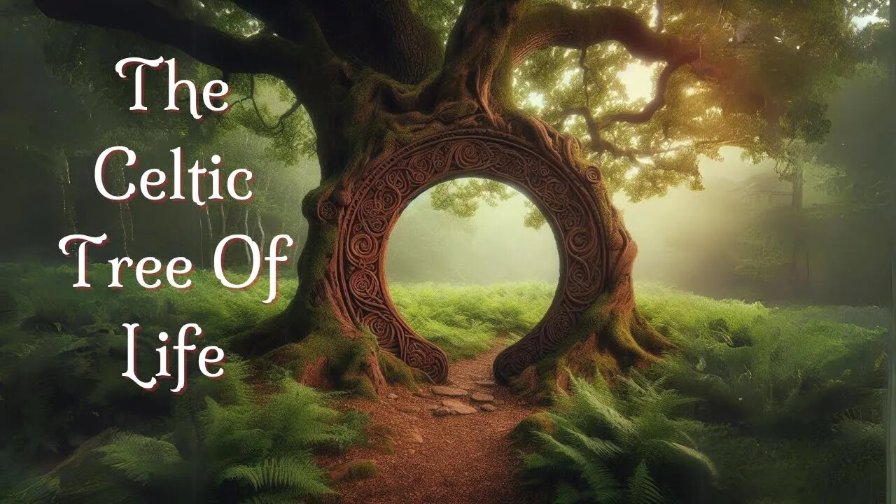 The Tree of Life's Link to Celtic Ancestors - Celtic Tree of Life Storytime