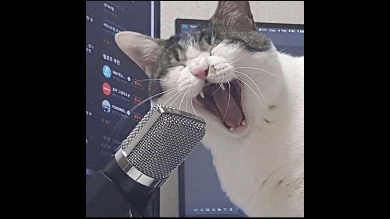 This talented cat has a very nice singing voice