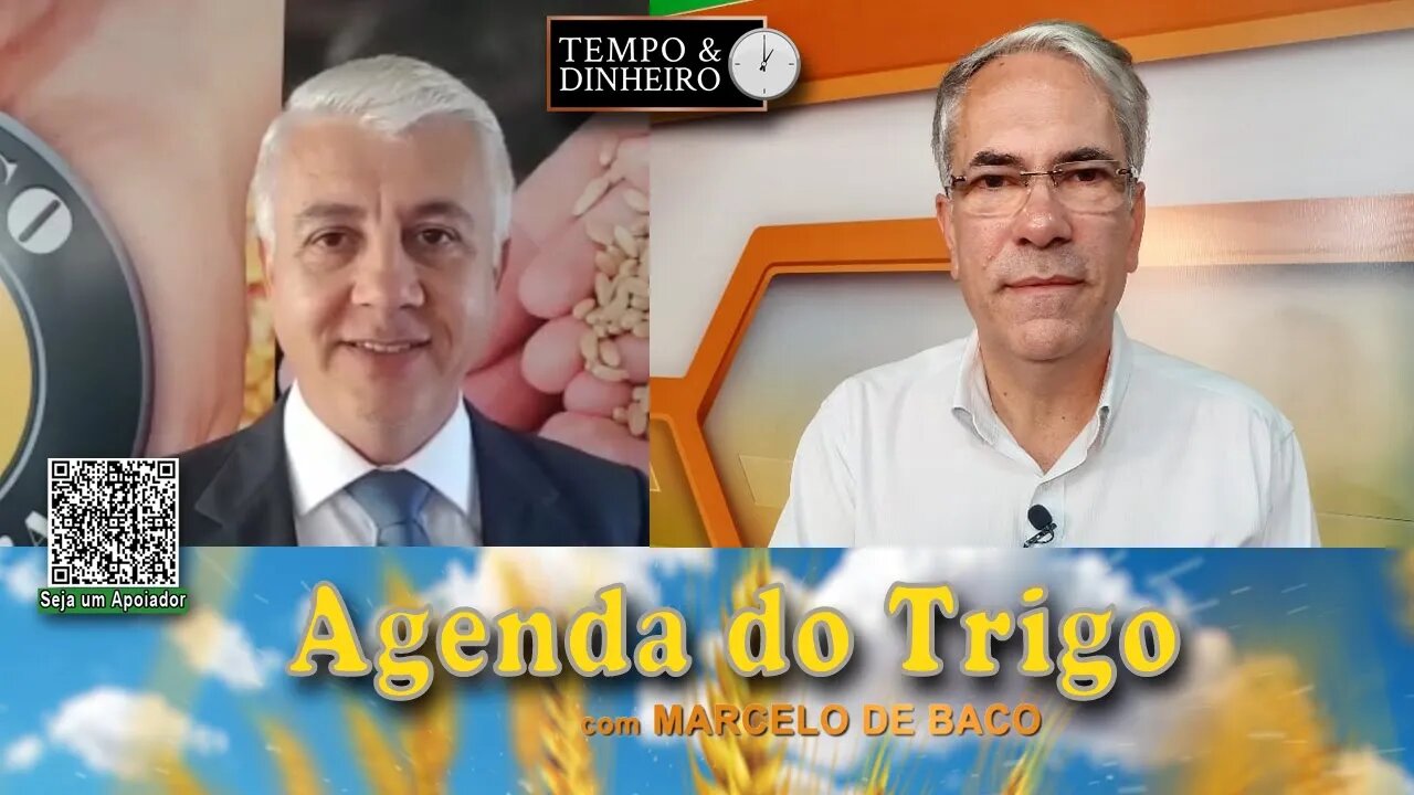 O mercado de trigo tem ótima liquidez...