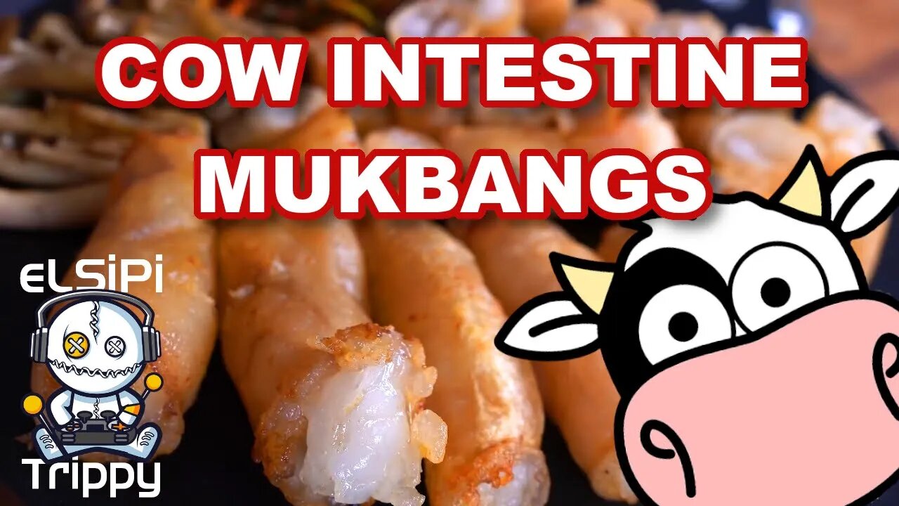 COW Intestine Mukbangs: Looks DELICIOUS!