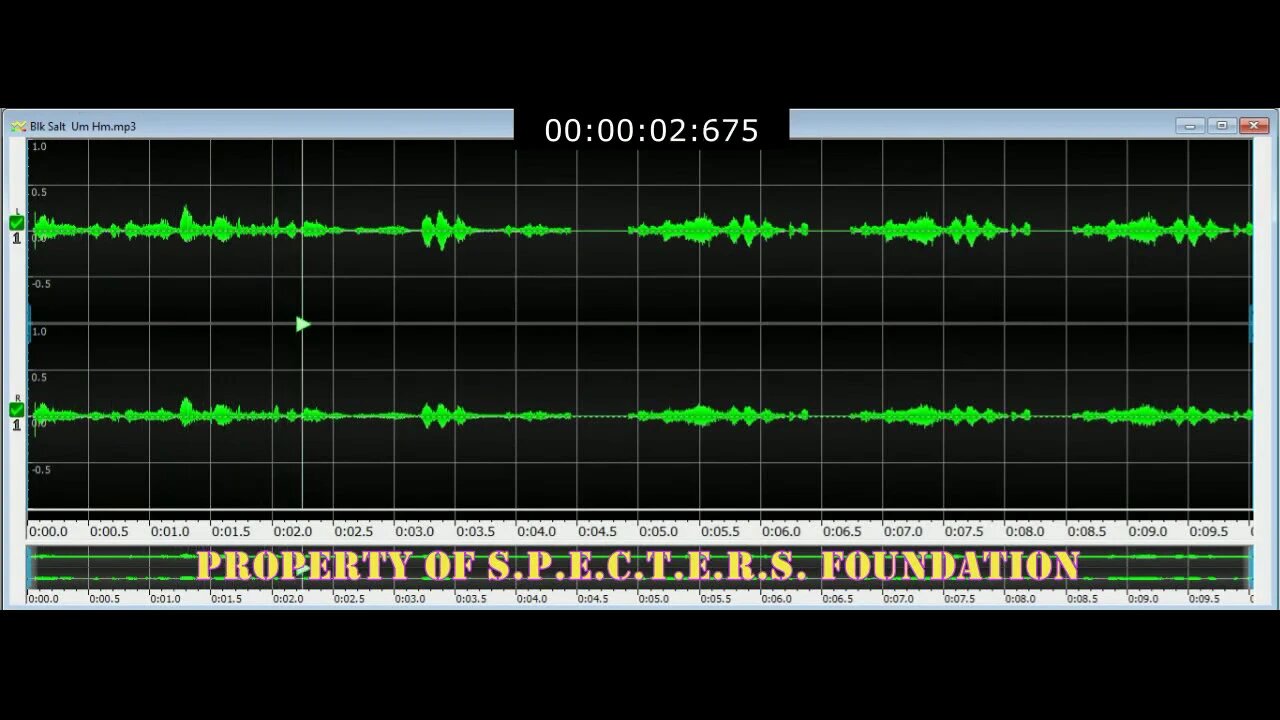 SF2020 Case 01 EVP Umm Hmm