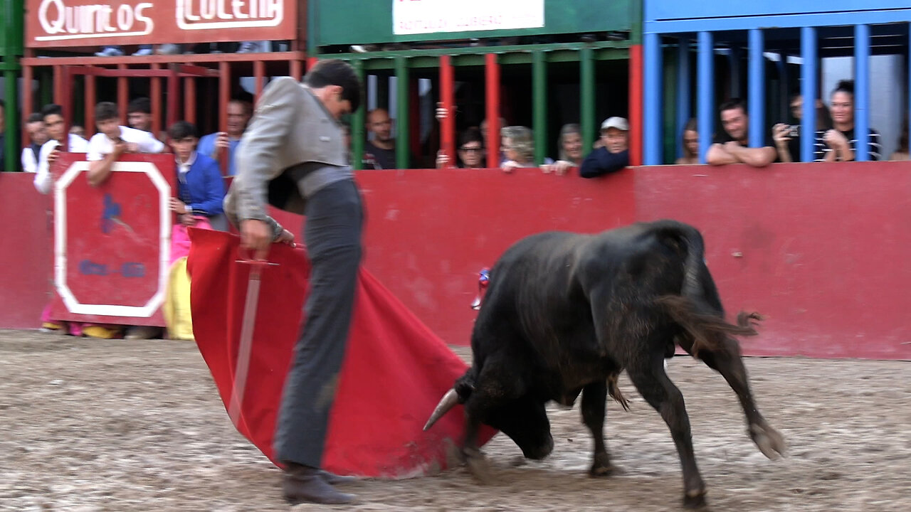 2024 09 22 LUCENA DEL CID CLASE PRÁCTICA LA CARDENILLA