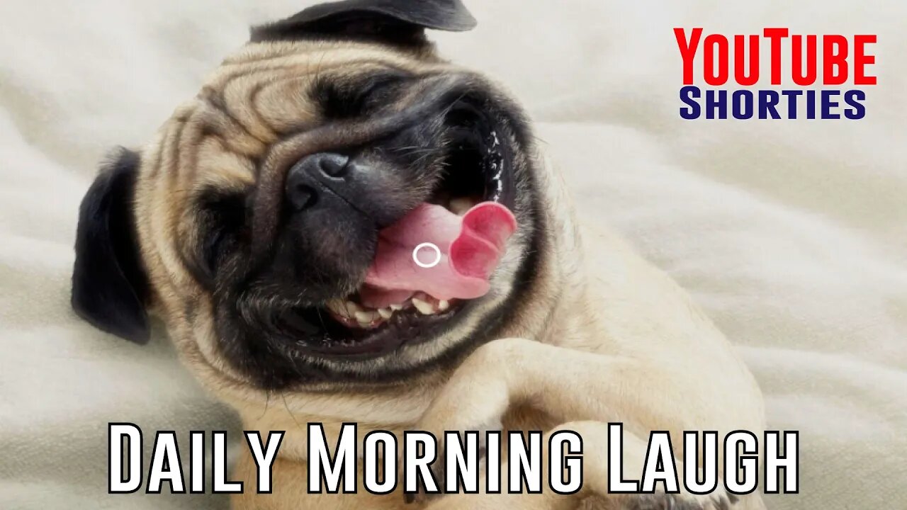 Funny Morning Laugh - 30 Seconds to Start Your Day Right