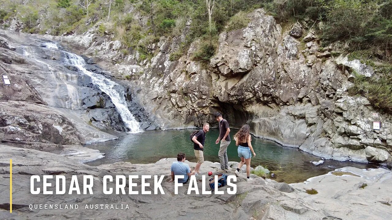 Cedar Creek Falls Exploration || Queensland - Australia