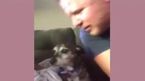 Best Funny Animal Videos 2023 🐶😂😻 Funniest Animals #228