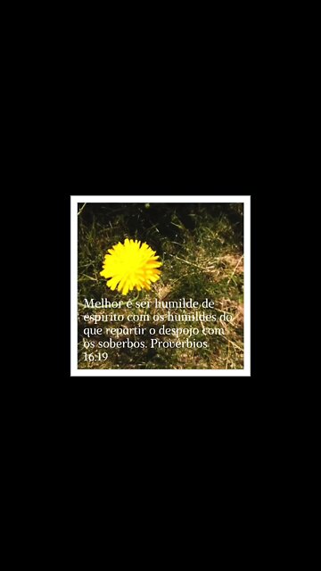 VERSÍCULO DO DIA 23/07/2022.#shorts