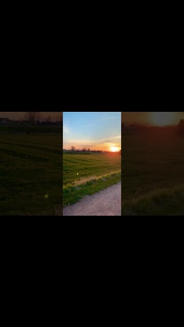 Sun setting over a field