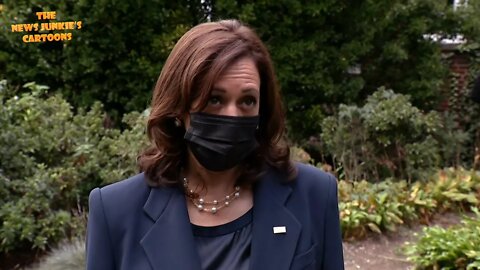 VP Harris "deeply troubled" by treatment of Haitian migrants at the southern border.