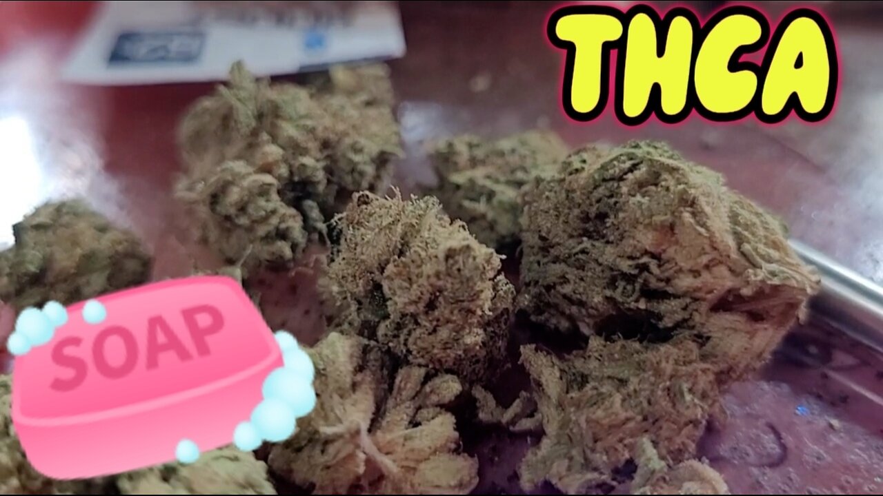 The Soap THCA Strain Review: Why This Might Be the Best Bud You’ve Never Tried! (JK DISTRO)