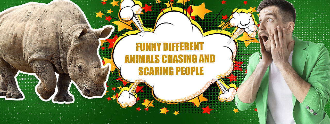 Funny Different Animals Chasing and Scaring People