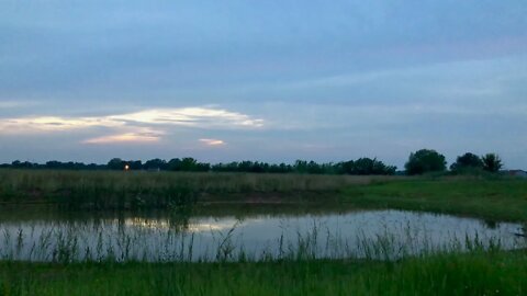 Dusk on the Prairie | Unwind With Nature | Frogs | Crickets | Birds