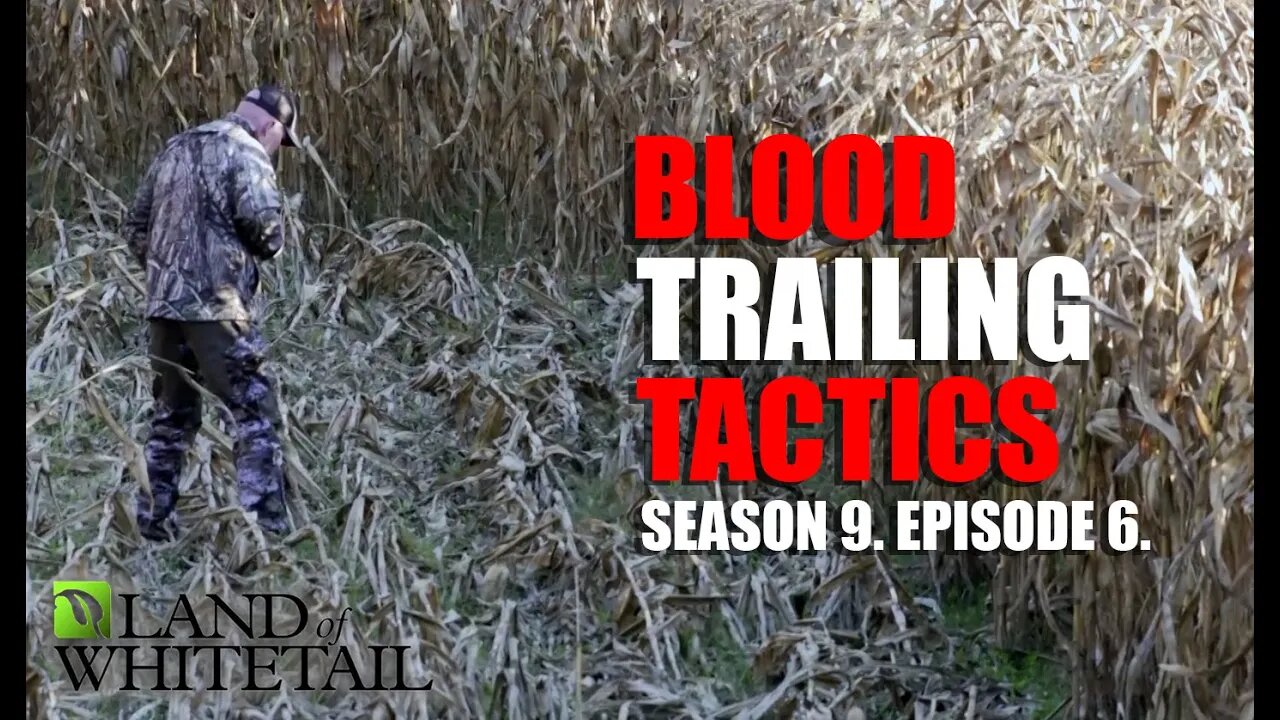 Blood Trailing Tactics | Land of Whitetail