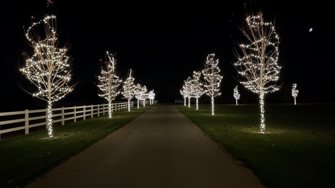 Getting a Start on Our Christmas Lights! 🎄🙌🎅