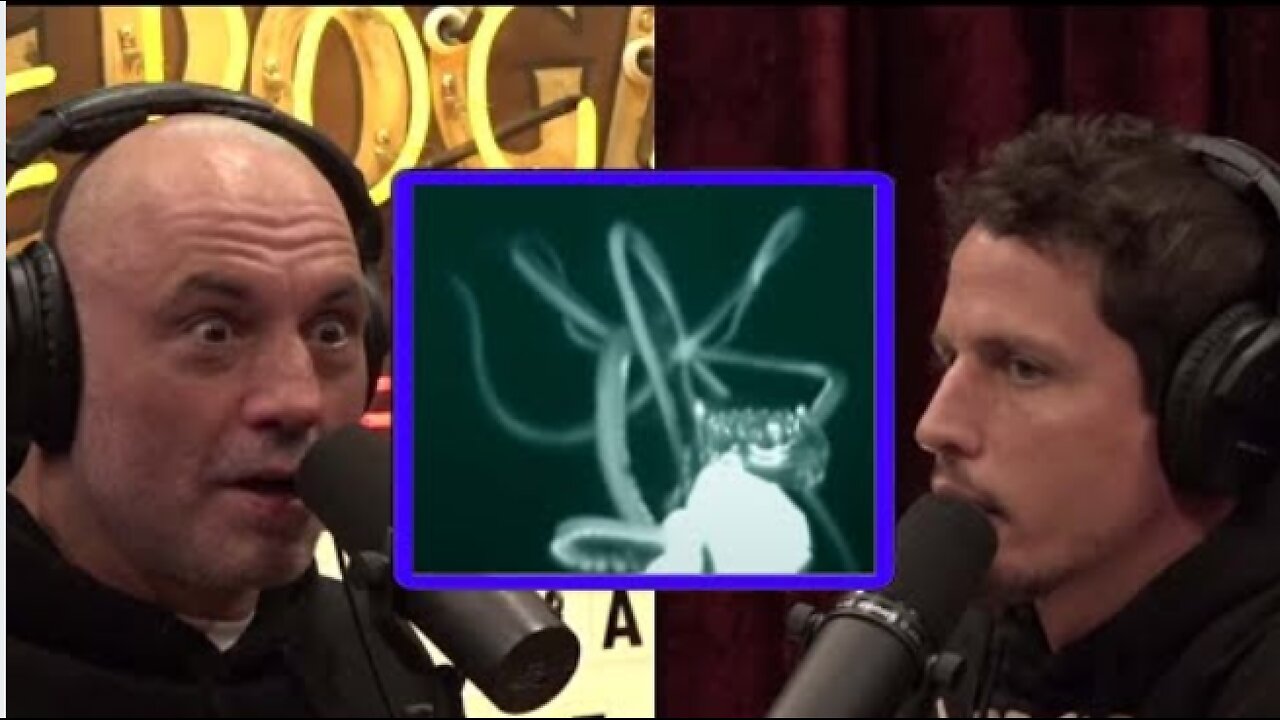 Is the Kraken More Than a Myth? Exploring New Evidence | Joe Rogan Experience