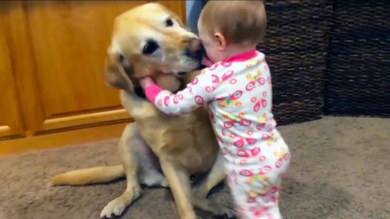 How Your kid can play with dog without danger trick.
