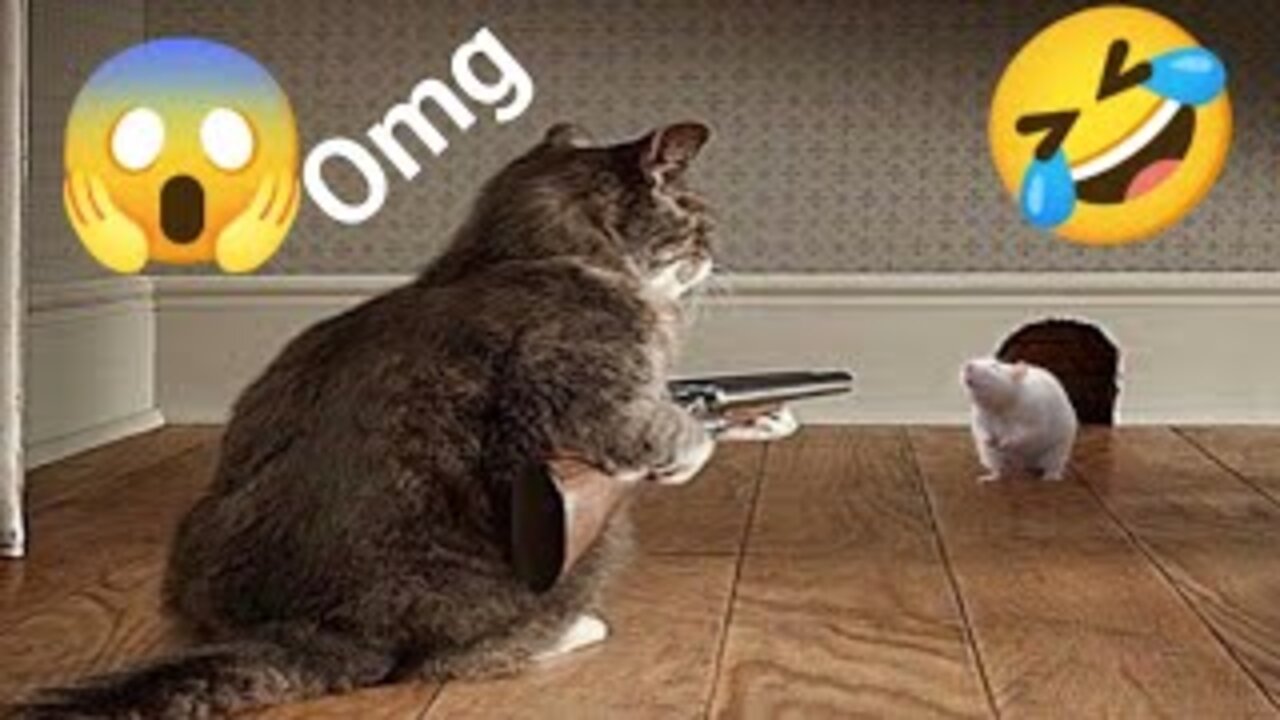 Funny Animals videos 2023😀#funniest dog and cat video#funnytwit.
