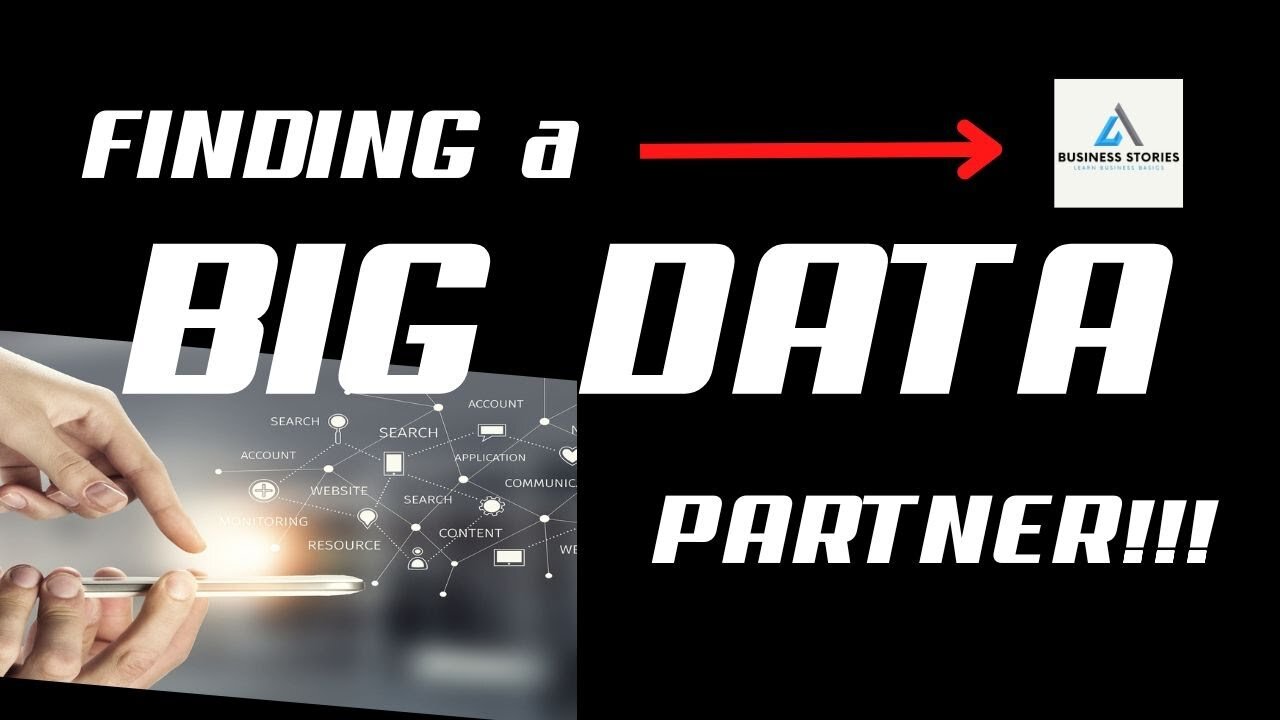 Finding a Big Data Partner: Leadership Decision-Making