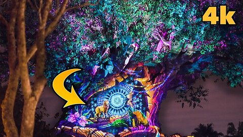 [4k] Disney's Animal Kingdom Tree of Life Awakenings Lion King Story