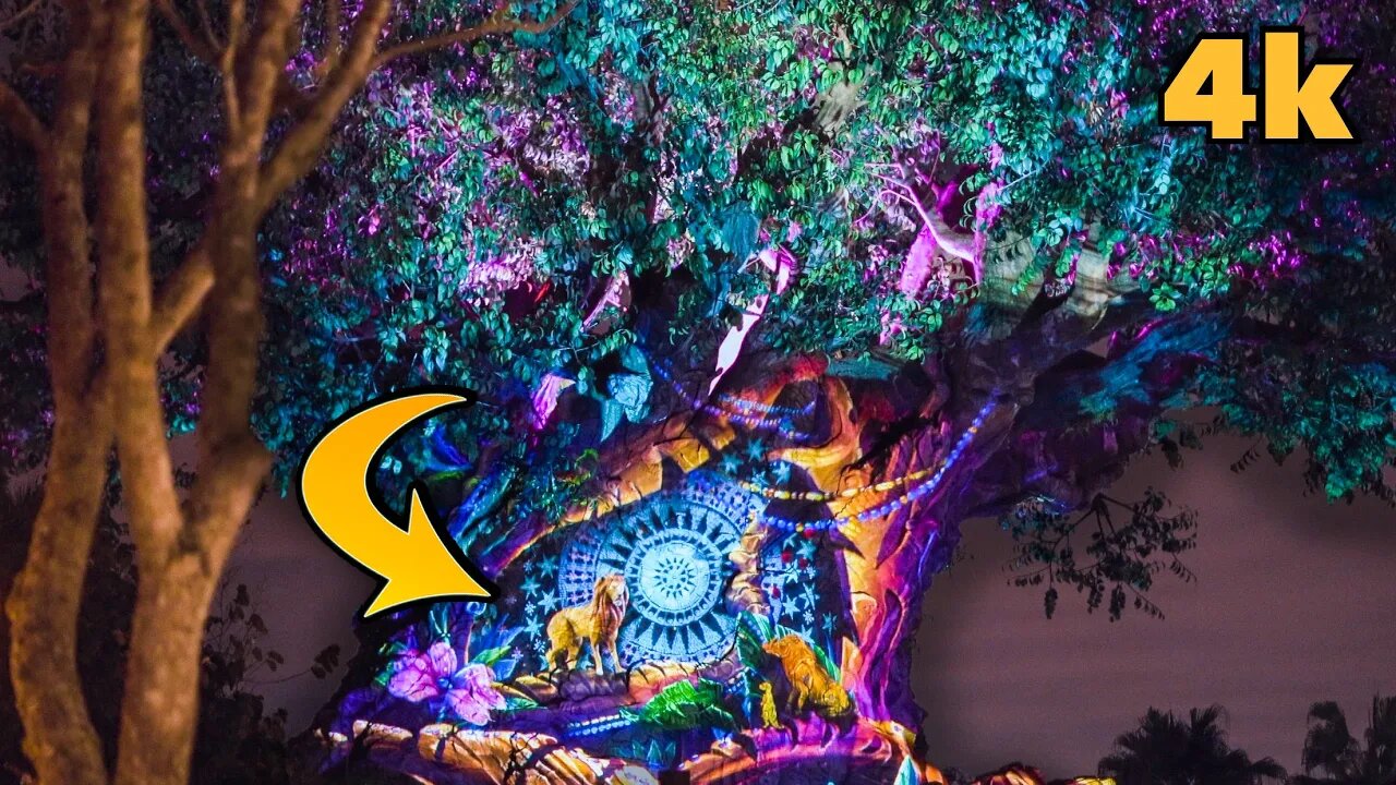 [4k] Disney's Animal Kingdom Tree of Life Awakenings Lion King Story