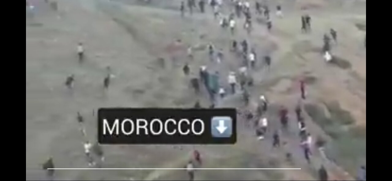 Migration Invasion Clip - Morocco Dec. 2023