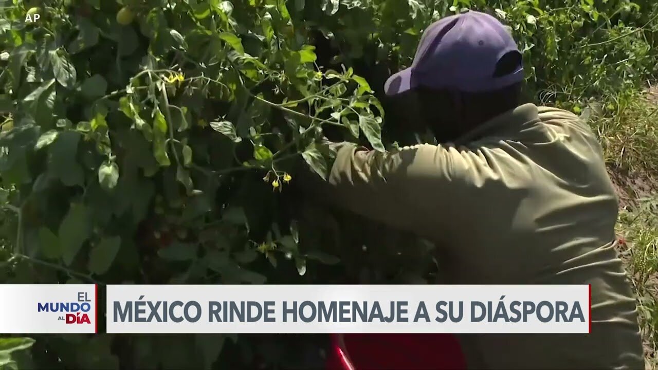 Gobierno de México reconoce aporte de migrantes en EEUU