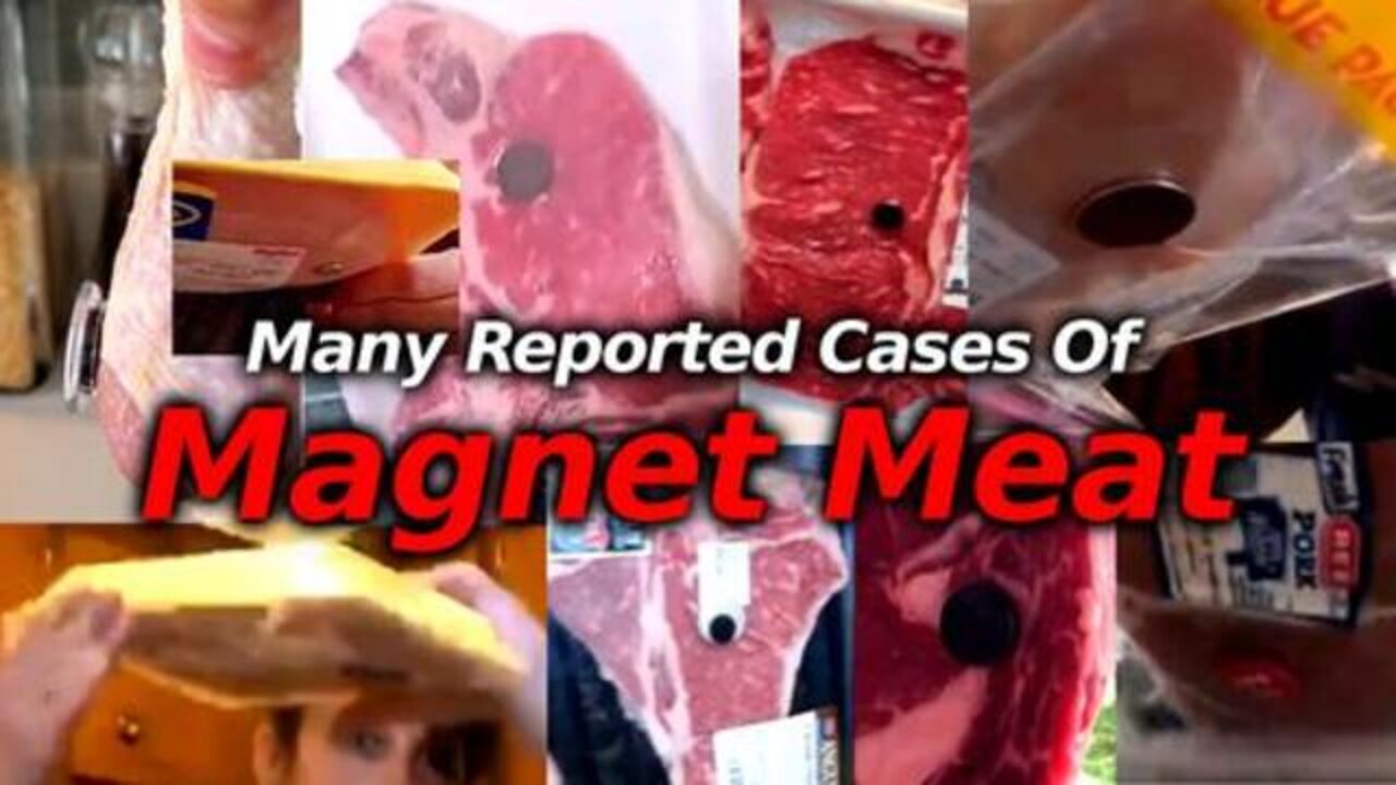 Magnetic Meat -Part 6 (Compilation)