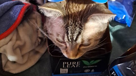 ok the actual Sunday Walk and talk live!