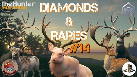 Diamond & Rare montage #14 Console theHunter Call of the Wild