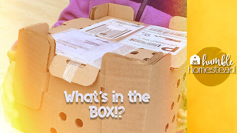 We received the BEST piece of mail EVER...