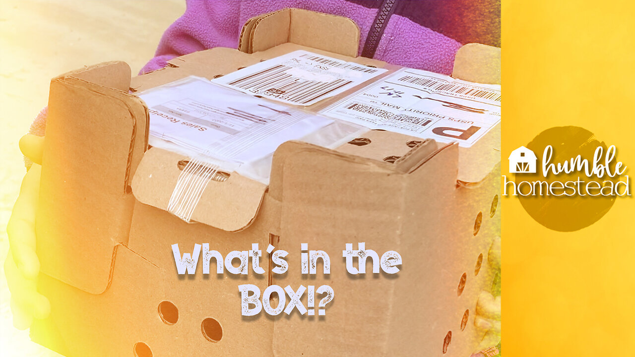 We received the BEST piece of mail EVER...