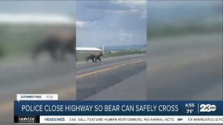 Check this out: Utah authorities stop traffic to let bear cross highway