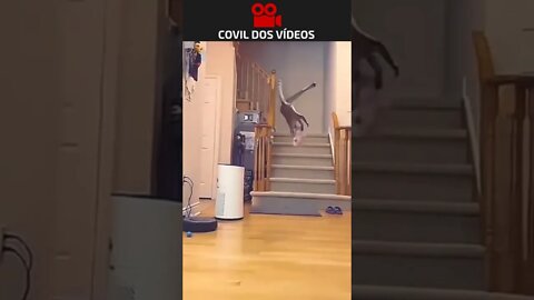 melhor que muitos goleiros 😂😂😂