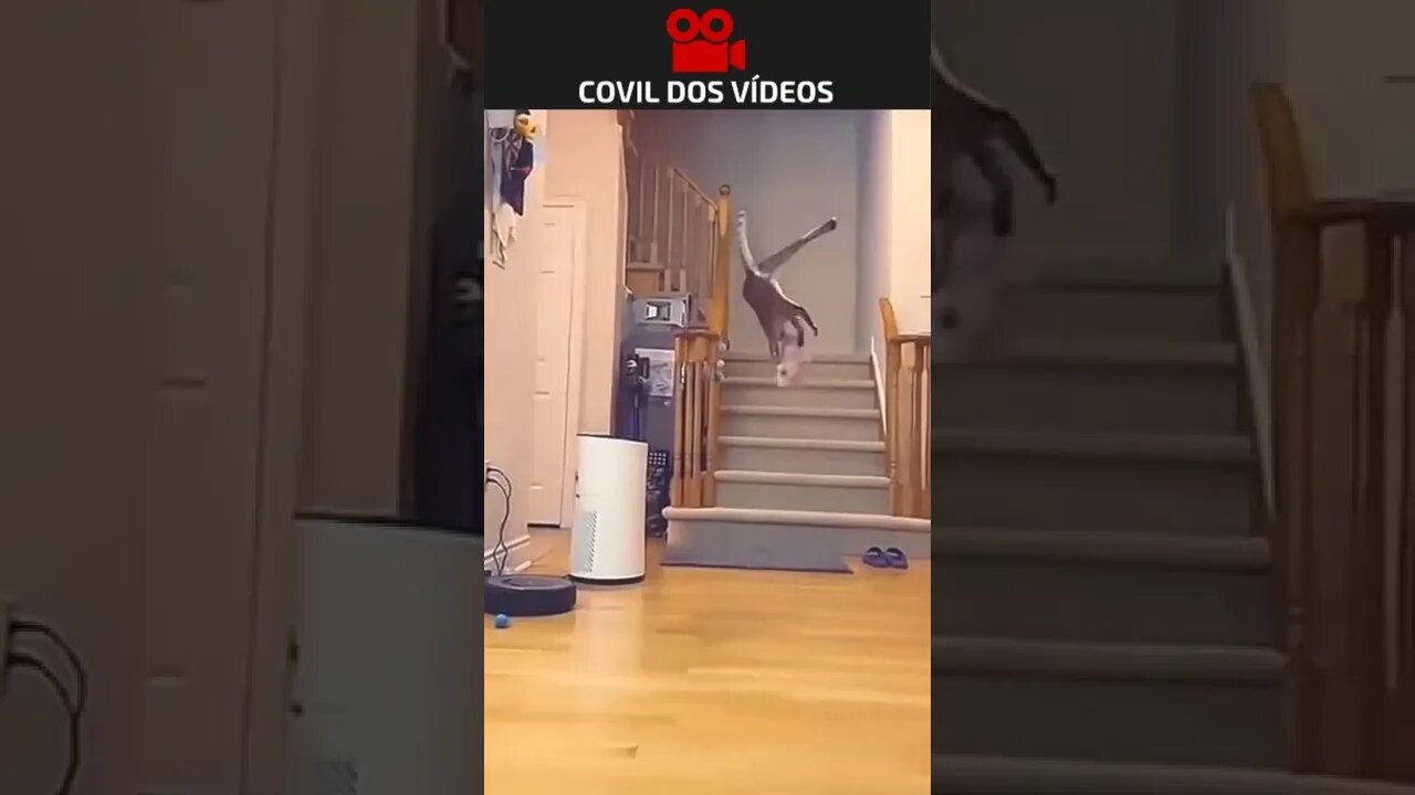 melhor que muitos goleiros 😂😂😂