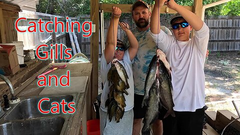 Fishing Adventures: Catching Bluegill, Catfish, and Bass